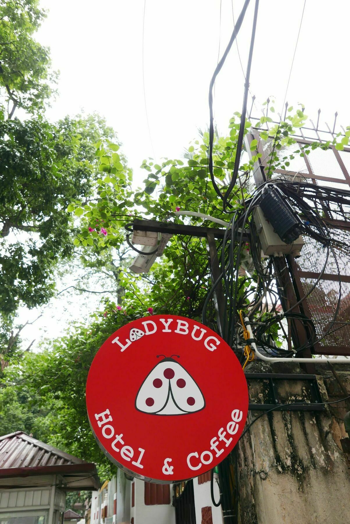 Ladybug Boutique Villa Ханой Екстериор снимка